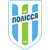 Logo Polissya Zhytomyr