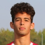 Image of Ilicic, Miroslav