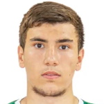 Image of Radovic, Filip