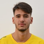 Image of Nainggolan, Samuel
