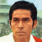 Image of Peduzzi, Marco