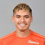 Image of Frank Lark, Romero Berrocal