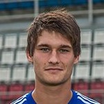Image of Svozil, Jaroslav