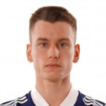 Image of Ogorodnik, Vladislav