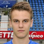 Image of Fechner, Robin