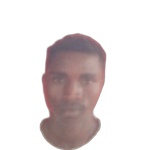 Image of Nemcek, Denis