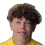 Image of Nicklasson, Ludvig