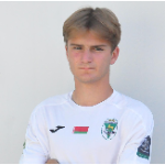Image of Mehic, Amer