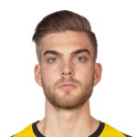 Image of Eriksson-Ibragic, Amer