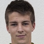 Image of Dadic, Robert