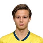 Image of Villgren, Toni